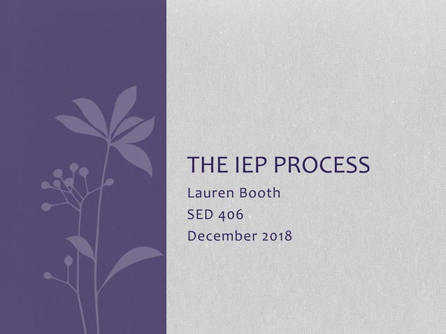 The IEP Process | PPTX