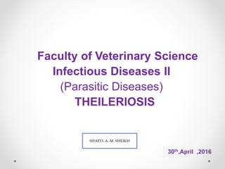 Faculty of Veterinary Science
Infectious Diseases II
(Parasitic Diseases)
THEILERIOSIS
30th,April ,2016
SHAFI’I. A. M. SHEIKH
 