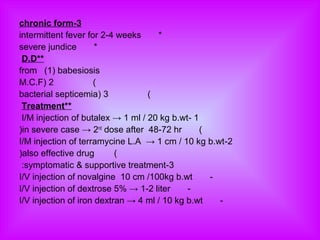 3-chronic form
*intermittent fever for 2-4 weeks
*severe jundice
**D.D
from (1) babesiosis
(2)M.C.F
(3)bacterial septicemia
**Treatment
1-I/M injection of butalex → 1 ml / 20 kg b.wt
(in severe case → 2nd
dose after 48-72 hr)
2-I/M injection of terramycine L.A → 1 cm / 10 kg b.wt
(also effective drug)
3-symptomatic & supportive treatment:
-I/V injection of novalgine 10 cm /100kg b.wt
-I/V injection of dextrose 5% → 1-2 liter
-I/V injection of iron dextran → 4 ml / 10 kg b.wt
 