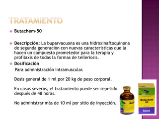  Butachem-50
 Descripción: La buparvacuona es una hidroxinaftoquinona
de segunda generación con nuevas características que la
hacen un compuesto prometedor para la terapia y
profilaxis de todas la formas de teileriosis.
 Dosificación
Para administración intramuscular.
Dosis general de 1 ml por 20 kg de peso corporal.
En casos severos, el tratamiento puede ser repetido
después de 48 horas.
No administrar más de 10 ml por sitio de inyección.
 