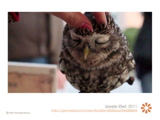 Lovely Owl, 2011
https://gimmebar.com/view/4ec54e1d300aaa704e000043
 
