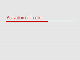 Activation of T-cells
 