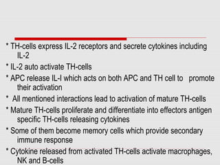 * TH-cells express IL-2 receptors and secrete cytokines including
IL-2
* IL-2 auto activate TH-cells
* APC release IL-I which acts on both APC and TH cell to promote
their activation
* All mentioned interactions lead to activation of mature TH-cells
* Mature TH-cells proliferate and differentiate into effectors antigen
specific TH-cells releasing cytokines
* Some of them become memory cells which provide secondary
immune response
* Cytokine released from activated TH-cells activate macrophages,
NK and B-cells
 