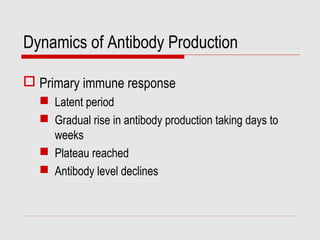 Dynamics of Antibody Production
 Primary immune response
 Latent period
 Gradual rise in antibody production taking days to
weeks
 Plateau reached
 Antibody level declines
 