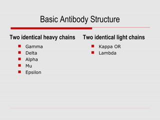 Basic Antibody Structure
Two identical heavy chains
 Gamma
 Delta
 Alpha
 Mu
 Epsilon
Two identical light chains
 Kappa OR
 Lambda
 
