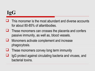 IgG
 This monomer is the most abundant and diverse accounts
for about 80-85% of allantibodies.
 These monomers can crosses the placenta and confers
passive immunity, as well as, blood vessels.
 Monomers activate complement and increase
phagocytosis.
 These monomers convey long term immunity
 IgG protect against circulating bacteria and viruses, and
bacterial toxins.
 