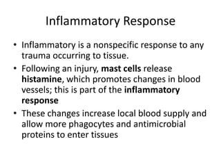 Inflammatory ResponseInflammatory is a nonspecific response to any trauma occurring to tissue. Following an injury, mast cells release histamine,which promotes changes in blood vessels; this is part of the inflammatory responseThese changes increase local blood supply and allow more phagocytes and antimicrobial proteins to enter tissues