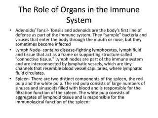 The Role of Organs in the Immune SystemAdenoids/ Tonsil- Tonsils and adenoids are the body’s first line of defense as part of the immune system. They “sample” bacteria and viruses that enter the body through the mouth or nose, but they sometimes become infectedLymph Node- contains disease-fighting lymphocytes, lymph fluid and tissue that act as a frame or supporting structure called "connective tissue." Lymph nodes are part of the immune system and are interconnected by lymphatic vessels, which are tiny channels that resemble blood vessel capillaries, where lymphatic fluid circulates.Spleen- There are two distinct components of the spleen, the red pulp and the white pulp. The red pulp consists of large numbers of sinuses and sinusoids filled with blood and is responsible for the filtration function of the spleen. The white pulp consists of aggregates of lymphoid tissue and is responsible for the immunological function of the spleen: