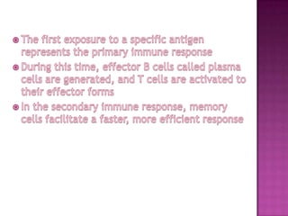 The first exposure to a specific antigen represents the primary immune response During this time, effector B cells called plasma cells are generated, and T cells are activated to their effector formsIn the secondary immune response, memory cells facilitate a faster, more efficient response