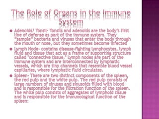The Role of Organs in the Immune SystemAdenoids/ Tonsil- Tonsils and adenoids are the body’s first line of defense as part of the immune system. They “sample” bacteria and viruses that enter the body through the mouth or nose, but they sometimes become infectedLymph Node- contains disease-fighting lymphocytes, lymph fluid and tissue that act as a frame or supporting structure called "connective tissue." Lymph nodes are part of the immune system and are interconnected by lymphatic vessels, which are tiny channels that resemble blood vessel capillaries, where lymphatic fluid circulates.Spleen- There are two distinct components of the spleen, the red pulp and the white pulp. The red pulp consists of large numbers of sinuses and sinusoids filled with blood and is responsible for the filtration function of the spleen. The white pulp consists of aggregates of lymphoid tissue and is responsible for the immunological function of the spleen: