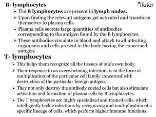 B- lymphocytes
 The B lymphocytes are present in lymph nodes.
 Upon finding the relevant antigens get activated and transform
themselves to plasma cells.
 Plasma cells secrete large quantities of antibodies
corresponding to the antigen found by the B lymphocytes.
 These antibodies circulate in blood and attach to all infecting
organisms and cells present in the body having the concerned
antigen.
T- lymphocytes
 This helps them recognize all the tissues of one‟s own body.
 Their response to an overwhelming infection, is in the form of
multiplication of the particular cell family concerned with
destruction of the particular foreign antigen.
 They not only destroy the antibody coated cells but also stimulate
activation and formation of plasma cells by B lymphocytes.
 The T lymphocytes are highly specialized and trained cells, which
intelligently tackle infections by recognizing and multiplication of a
specific lineage of cells, which perform higher immune functions.
 