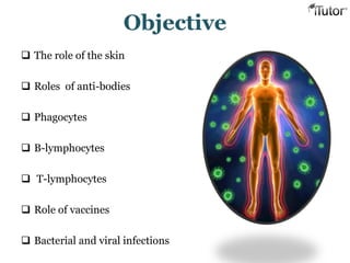 Objective
 The role of the skin
 Roles of anti-bodies
 Phagocytes
 B-lymphocytes
 T-lymphocytes
 Role of vaccines
 Bacterial and viral infections
 