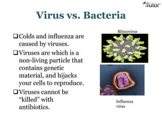 Virus vs. Bacteria
Colds and influenza are
caused by viruses.
Viruses are which is a
non-living particle that
contains genetic
material, and hijacks
your cells to reproduce.
Viruses cannot be
“killed” with
antibiotics.
Rhinovirus
Influenza
virus
 