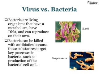 Virus vs. Bacteria
Bacteria are living
organisms that have a
metabolism, have
DNA, and can reproduce
on their own.
Bacteria can be killed
with antibiotics because
these substances target
key processes in
bacteria, such as
production of the
bacterial cell wall.
E. coli
Streptococcus
 