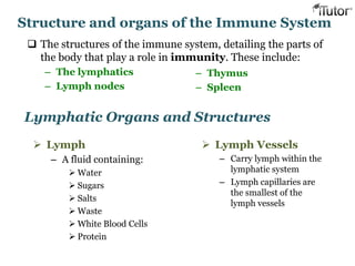 Structure and organs of the Immune System
 The structures of the immune system, detailing the parts of
the body that play a role in immunity. These include:
– The lymphatics
– Lymph nodes
Lymphatic Organs and Structures
– Thymus
– Spleen
 Lymph
– A fluid containing:
 Water
 Sugars
 Salts
 Waste
 White Blood Cells
 Protein
 Lymph Vessels
– Carry lymph within the
lymphatic system
– Lymph capillaries are
the smallest of the
lymph vessels
 