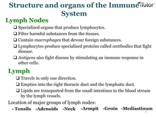 Lymph Nodes
 Specialized organs that produce lymphocytes.
 Filter harmful substances from the tissues.
 Contain macrophages that devour foreign substances.
 Lymphocytes produce specialized proteins called antibodies that fight
disease.
 Antigens also fight disease by stimulating an immune response in
other cells.
9
Structure and organs of the Immune
System
Lymph
 Travels in only one direction.
 Empties into the right thoracic duct and the lymphatic duct.
 Lipids are transported from the small intestines to the blood stream
by the lymph vessels.
Location of major groups of lymph nodes:
- Tonsils -Mediastinum-Groin-Neck-Adenoids -Armpit
 