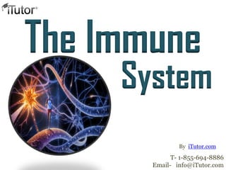 The Immune
System
T- 1-855-694-8886
Email- info@iTutor.com
By iTutor.com
 