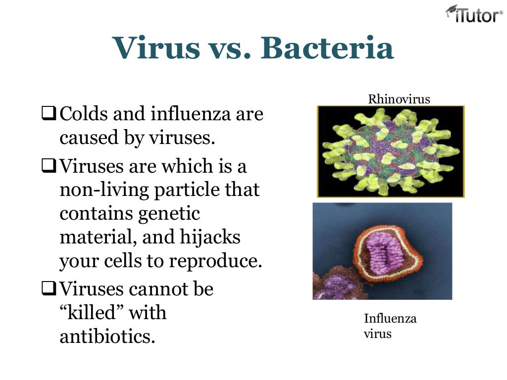 The Immune System