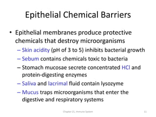 Chapter 21, Immune System 11
Epithelial Chemical Barriers
• Epithelial membranes produce protective
chemicals that destroy microorganisms
– Skin acidity (pH of 3 to 5) inhibits bacterial growth
– Sebum contains chemicals toxic to bacteria
– Stomach mucosae secrete concentrated HCl and
protein-digesting enzymes
– Saliva and lacrimal fluid contain lysozyme
– Mucus traps microorganisms that enter the
digestive and respiratory systems
 