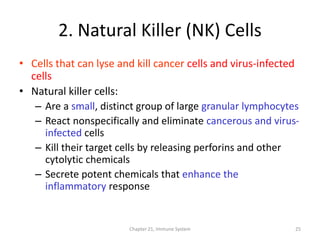 Chapter 21, Immune System 25
2. Natural Killer (NK) Cells
• Cells that can lyse and kill cancer cells and virus-infected
cells
• Natural killer cells:
– Are a small, distinct group of large granular lymphocytes
– React nonspecifically and eliminate cancerous and virus-
infected cells
– Kill their target cells by releasing perforins and other
cytolytic chemicals
– Secrete potent chemicals that enhance the
inflammatory response
 
