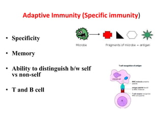 Adaptive Immunity (Specific immunity)
• Specificity
• Memory
• Ability to distinguish b/w self
vs non-self
• T and B cell
 