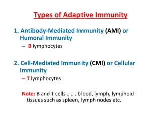 Types of Adaptive Immunity
1. Antibody-Mediated Immunity (AMI) or
Humoral Immunity
– B lymphocytes
2. Cell-Mediated Immunity (CMI) or Cellular
Immunity
– T lymphocytes
Note: B and T cells ……..blood, lymph, lymphoid
tissues such as spleen, lymph nodes etc.
 