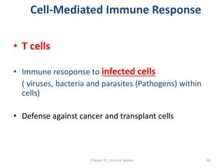 Cell-Mediated Immune Response
• T cells
• Immune resoponse to infected cells
( viruses, bacteria and parasites (Pathogens) within
cells)
• Defense against cancer and transplant cells
Chapter 21, Immune System 40
 