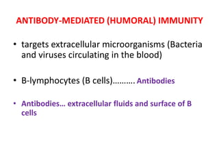 ANTIBODY-MEDIATED (HUMORAL) IMMUNITY
• targets extracellular microorganisms (Bacteria
and viruses circulating in the blood)
• B-lymphocytes (B cells)……….Antibodies
• Antibodies… extracellular fluids and surface of B
cells
 