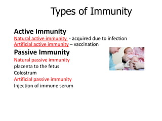 Types of Immunity
Active Immunity
Natural active immunity - acquired due to infection
Artificial active immunity – vaccination
Passive Immunity
Natural passive immunity
placenta to the fetus
Colostrum
Artificial passive immunity
Injection of immune serum
 