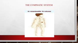 THE LYMPHATIC SYSTEM
 