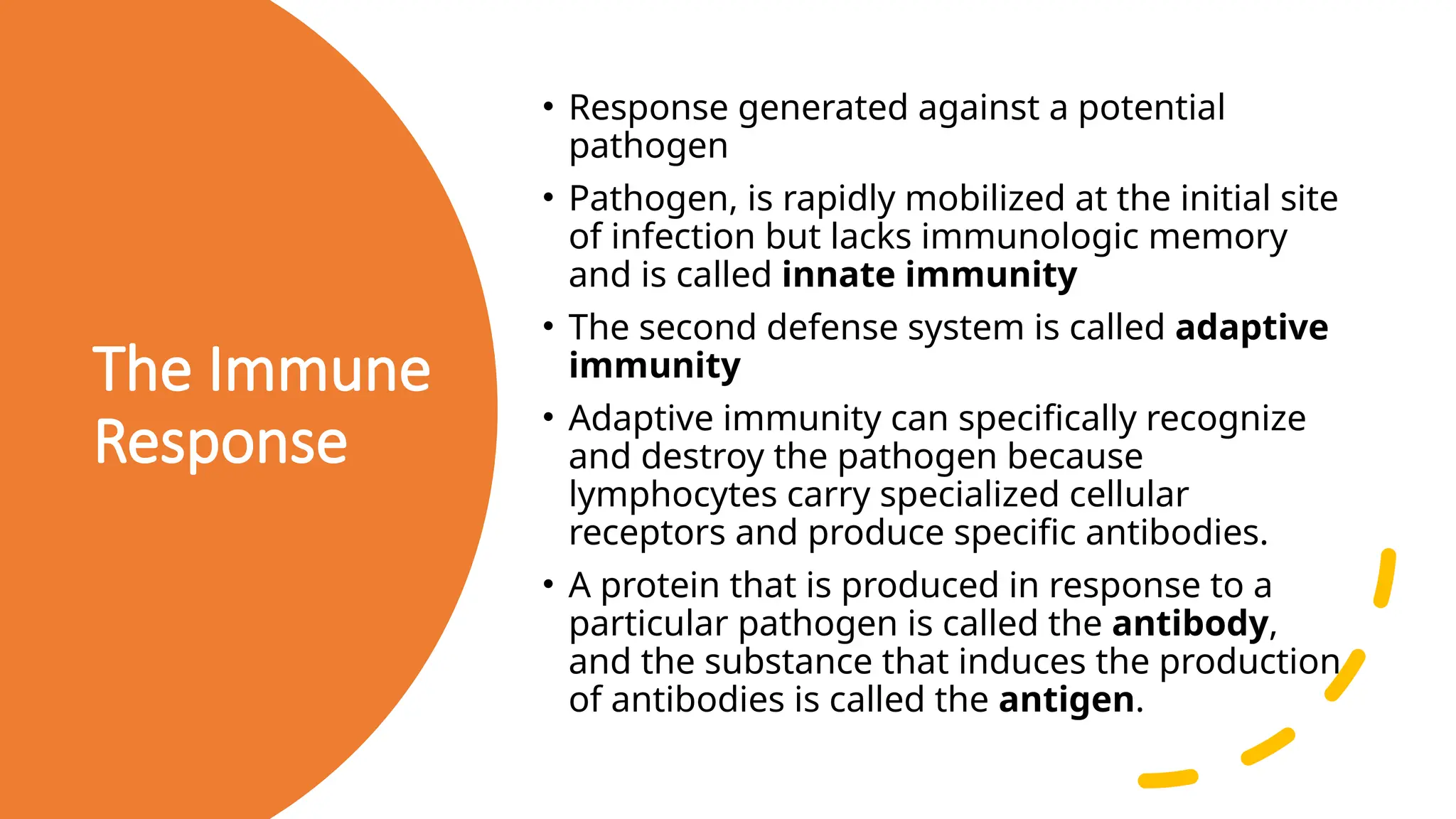The Immune System – Anatomy and Physiology BCCM dentistry.pptx