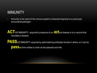 THE SECOND LineOFDEFENSEMACROPHAGES: The largest phagocytic cellsMacrophages are amoeboid cells that move through tissue fibers and engulf and digest cellular debris and pathogens by phagocytosis 