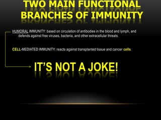 They also stimulate lymphocytes and other immune cells to respond to pathogens