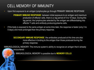 EOSINOPHILSAbout 1.5% of the white cells Their defend against larger parasitic invaders such as worms Don’t attack microorganisms directlyDestroy the body’s own infected cells, especially cells harboring virusesAlso attack cells that could form tumorsThe attack is not by phagocytosis but an attack on the membrane of the target cellThis causes the cell to break openNatural killer cells
