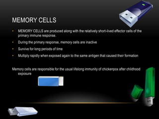 The most important antimicrobial proteins in the blood and tissues are interferons and the complement system.INTERFERONS: proteins secreted by virus-infected cells that inhibit neighboring cells from making new virusesCOMPLEMENT PROTEINS: involved in nonspecific and specific defenseCan lyse a cell target by combining with antibodiesA local inflammatory responseis triggered by tissue damage. Injured cells release histamine, a chemical signal that dilates blood vessels and increases capillary permeability allowing large numbers of phagocytic white blood cells to enter the interstitial fluid.Antimicrobial proteins