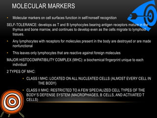 Specific defendersThe immune system recognizes foreign microbes, toxins or transplanted tissues It knows that they don’t belongIt then develops an immune response to inactivate or destroy the specific type of invaderANTIGEN: a foreign substance that elicits an immune responseMost antigens are proteins or large polysaccharidesAntigens that trigger an immune response include molecules belonging to viruses, bacteria, fungi, protozoa, and parasitic worms.ANTIBODIES: specialized lymphocytes that defend the body against one specific type of antigen.Antibodies make up a class of proteins called immunoglobulinsAn antibody does not usually destroy an antigen directly but targets it for elimination by complement or phagocytes		