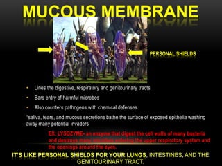 Cuts or abrasions can allow potentially harmful bacteria or viruses to enter the body.The skin is like a force field around the body. It keeps unwanted invaders out! 