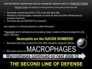 Mucous membrane at workEXAMPLES OF THE MUCOUS MEMBRANE AT WORK:Mucus: the viscous fluid secreted by cells of the mucous membranes; it traps particles that contact it.Lining the trachea are specialized epithelial cells equipped with cilia that sweep  out microbes and other particles trapped by the mucus, which keeps them from entering the lungs.If microbes in food or that are trapped in mucus are swallowed, it must pass through the highly acidic gastric juice produced by the stomach lining. This destroys most of the microbes before they can enter the intestinal tract.