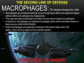 Internal defense mechanisms that are nonspecific depend mainly on PHAGOCYTOSIS:* PHAGOCYTOSIS is the ingestion of invading particles by certain types of white blood cells *Neutrophils comprise about 60% to 70% of all white blood cells
