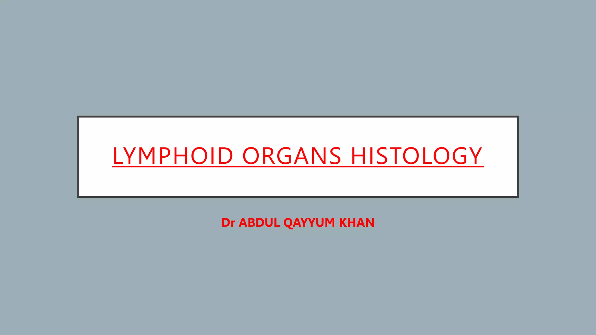 LYMPHOID ORGANS HISTOLOGY
Dr ABDUL QAYYUM KHAN