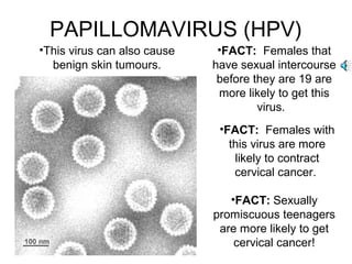 PAPILLOMAVIRUS (HPV)
•FACT: Females that
have sexual intercourse
before they are 19 are
more likely to get this
virus.
•FACT: Females with
this virus are more
likely to contract
cervical cancer.
•FACT: Sexually
promiscuous teenagers
are more likely to get
cervical cancer!
•This virus can also cause
benign skin tumours.
 