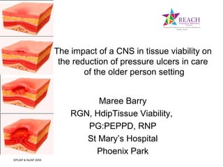 The impact of a CNS in tissue viability on 
the reduction of pressure ulcers in care 
of the older person setting 
Maree Barry 
RGN, HdipTissue Viability, 
PG:PEPPD, RNP 
St Mary’s Hospital 
Phoenix Park 
EPUAP & NUAP 2009 
 
