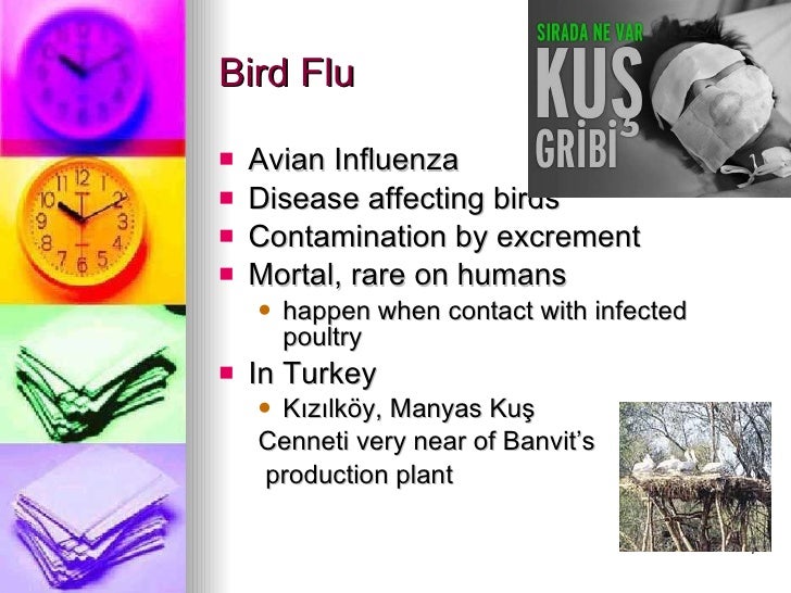 strategic plan for influenza flu Text in this example: influenza (the flu) is a contagious respiratory illness caused by influenza viruses it can cause mild to severe illness, and at times can lead to death. strategic plan for influenza flu Text in this example: influenza (the flu) is a contagious respiratory illness caused by influenza viruses it can cause mild to severe illness, and at times can lead to death.