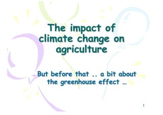 The Impact Of Climate Change On Agriculture