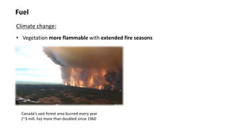 Fuel
Climate change:
• Vegetation more flammable with extended fire seasons
Canada’s vast forest area burned every year
(~3 mill. ha) more than doubled since 1960
 