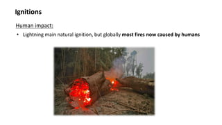 Ignitions
Human impact:
• Lightning main natural ignition, but globally most fires now caused by humans
 