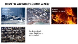 Future fire weather: drier, hotter, windier
Portugal 2017
2 fires - 104 deaths
USA 2018
Paradise – 85 deaths
Greece 2018
Mati - 102 deaths
Australia 2009
Black Saturday – 173 deaths
Canada 2016
Fort McMurray
- 60,000 evacuated
- $9 bill. losses
- winds not extreme
- no direct deaths
The 4 most deadly
recent fires driven by
extreme winds
 