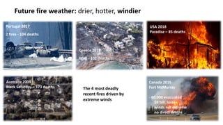 Future fire weather: drier, hotter, windier
Portugal 2017
2 fires - 104 deaths
USA 2018
Paradise – 85 deaths
Greece 2018
Mati - 102 deaths
Australia 2009
Black Saturday – 173 deaths The 4 most deadly
recent fires driven by
extreme winds
Canada 2016
Fort McMurray
- 60,000 evacuated
- $9 bill. losses
- winds not extreme
- no direct deaths
 