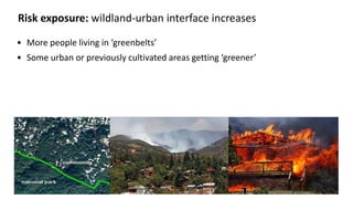 Risk exposure: wildland-urban interface increases
• More people living in ‘greenbelts’
• Some urban or previously cultivated areas getting ‘greener’
 