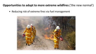 Opportunities to adapt to more extreme wildfires (‘the new normal’)
• Reducing risk of extreme fires via fuel management
ALLEN J. SCHABEN/GETTY IMAGES
 